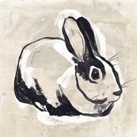 Antique Rabbit I Fine Art Print