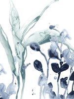 Blue Kelp I Fine Art Print