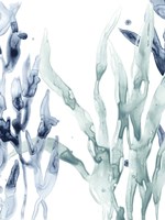 Blue Kelp II Framed Print