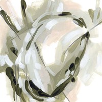 Spring Cycle I Framed Print