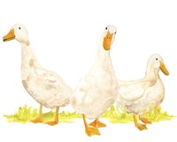 Quack Squad I Fine Art Print