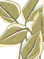 Tropical Offset I Framed Print