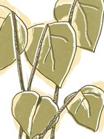 Tropical Offset II Framed Print