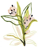 Tropical Cadenza III Framed Print