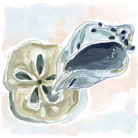 Shell Melody I Fine Art Print