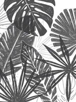 Palm Shadows I Framed Print