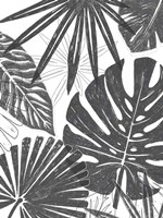 Palm Shadows II Framed Print