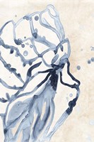 Water Shells I Fine Art Print