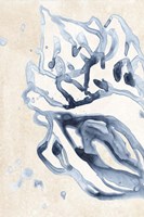 Water Shells II Framed Print