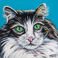 High Society Cat II Framed Print