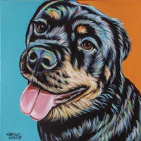 Rottweiler I Fine Art Print