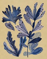 Underwater Forest III Fine Art Print