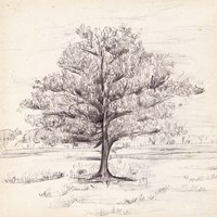 Silent Presence I Fine Art Print