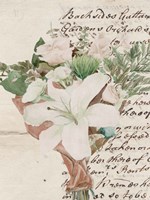 Wrapped Bouquet III Fine Art Print