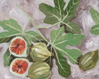 Decorative Fig I Fine Art Print