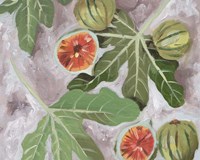 Decorative Fig II Fine Art Print