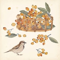 Basket with Fruit III Framed Print