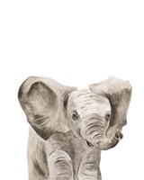 Safari Animal Portraits III Framed Print