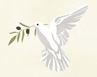 Olive Branch Dove II Fine Art Print