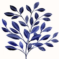 Deep Blue Branch II Fine Art Print