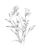 Wild Bunch II Fine Art Print