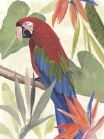 Tropical Parrot Composition III Fine Art Print