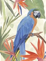 Tropical Parrot Composition IV Fine Art Print