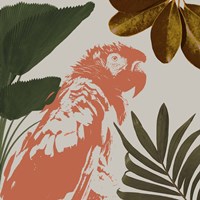 Graphic Tropical Bird I Fine Art Print