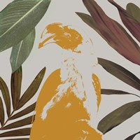 Graphic Tropical Bird II Fine Art Print
