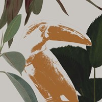 Graphic Tropical Bird III Fine Art Print