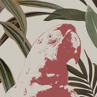 Graphic Tropical Bird IV Fine Art Print