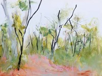 Loop Trail Through Swamp Oak Woodland Fine Art Print