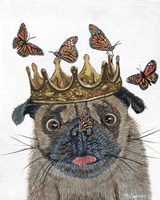 A Crowned Pug Fine Art Print