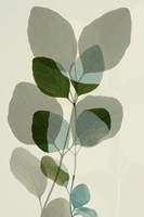 Green Leaves 10 Fine Art Print