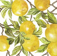 Lemon Square Fine Art Print