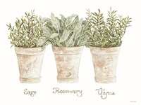 Herb Trio Fine Art Print