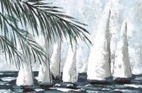 Sailboats Behind the Palms Fine Art Print