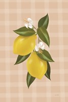 Lemon Botanical II Fine Art Print