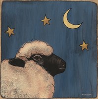 Little Sheep Fine Art Print