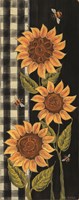 Farmhouse Sunflowers II Fine Art Print