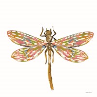 Dainty Dragonfly Fine Art Print