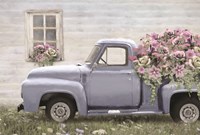 Live Life in Full Bloom Fine Art Print