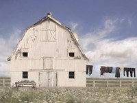 Amish Laundry Fine Art Print