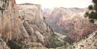 Zion from Above Fine Art Print