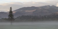Adirondack Misty Morning Fine Art Print