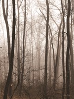 Emptiness Fine Art Print