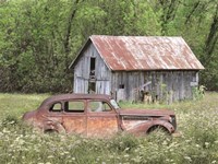 Old and Rustic Fine Art Print