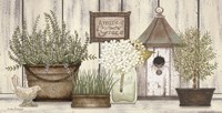 Collection of Herbs Fine Art Print