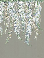 Wisteria in Bloom Fine Art Print