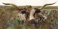Texas Longhorn in Field Fine Art Print